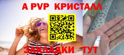 стаф Будённовск
