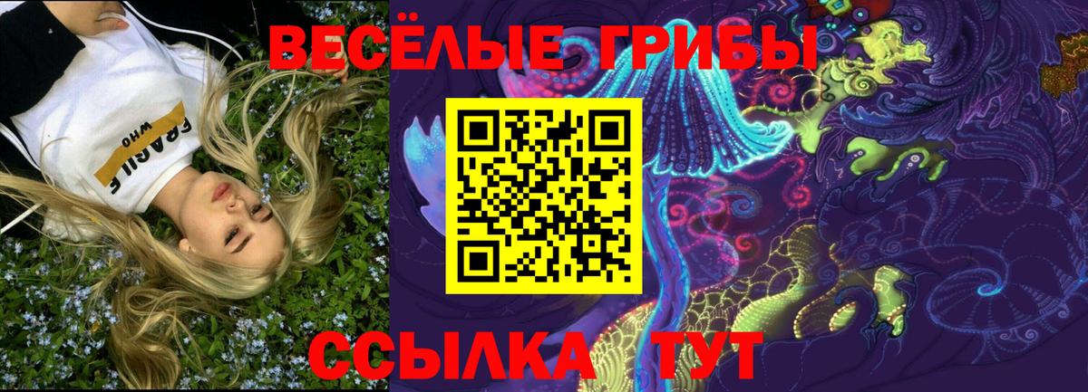Псилоцибиновые грибы прущие грибы Лесозаводск